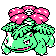 Venusaur gold