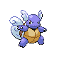Wartortle heartgold-soulsilver