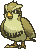 Pidgey animated shiny