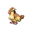 Pidgey firered-leafgreen