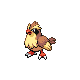 Pidgey heartgold-soulsilver