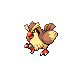 Pidgey platinum