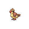 Pidgey black-white