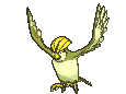Pidgeotto animated shiny