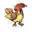 Pidgeotto emerald