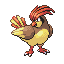 Pidgeotto firered-leafgreen