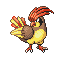 Pidgeotto ruby-sapphire