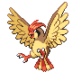 Pidgeotto diamond-pearl