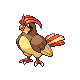 Pidgeotto heartgold-soulsilver
