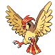 Pidgeotto platinum