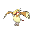 Pidgeot animated
