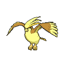 Pidgeot animated shiny