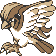 Pidgeot yellow