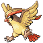 Pidgeot emerald