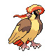 Pidgeot diamond-pearl