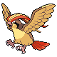 Pidgeot heartgold-soulsilver