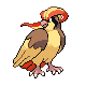 Pidgeot platinum