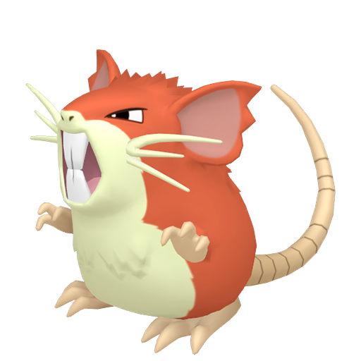 Raticate home shiny