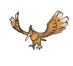 Fearow animated