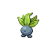 Oddish platinum