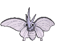 Venomoth animated