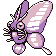 Venomoth red-blue