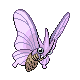 Venomoth platinum