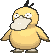 Psyduck animated