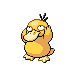 Psyduck platinum