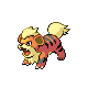 Growlithe diamond-pearl