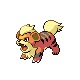 Growlithe platinum