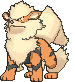 Arcanine animated