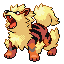 Arcanine firered-leafgreen