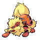 Arcanine diamond-pearl