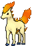 Ponyta animated