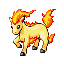 Ponyta emerald