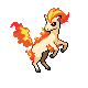 Ponyta platinum