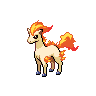 Ponyta black-white