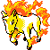 Rapidash gold