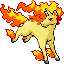 Rapidash firered-leafgreen