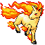 Rapidash ruby-sapphire