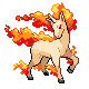 Rapidash platinum