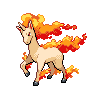 Rapidash black-white