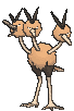 Dodrio animated