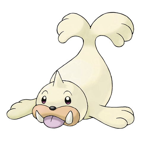 Seel Shiny