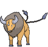 Tauros animated