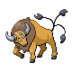 Tauros heartgold-soulsilver