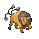 Tauros platinum