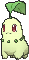Chikorita x-y
