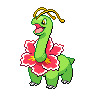 Meganium black-white